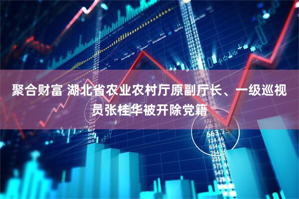 聚合财富 湖北省农业农村厅原副厅长、一级巡视员张桂华被开除党籍
