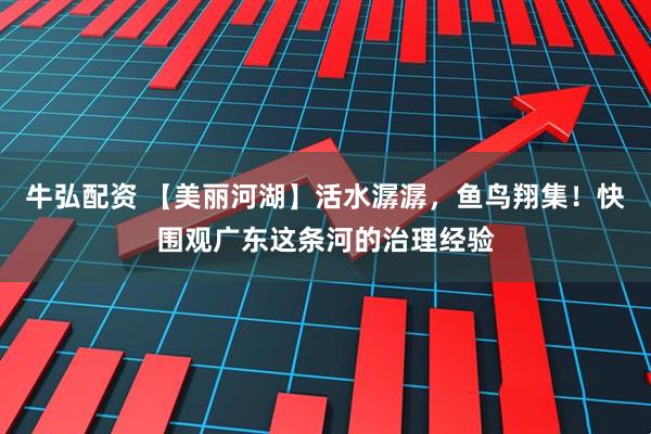 牛弘配资 【美丽河湖】活水潺潺，鱼鸟翔集！快围观广东这条河的治理经验