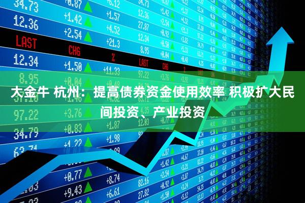 大金牛 杭州：提高债券资金使用效率 积极扩大民间投资、产业投资