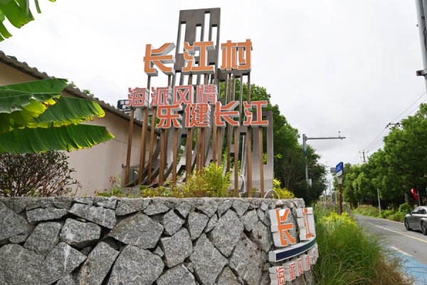 K线猎手 申观察 | 长江村细胞“焕新”记，浦东村企联建探索乡村振兴新模式