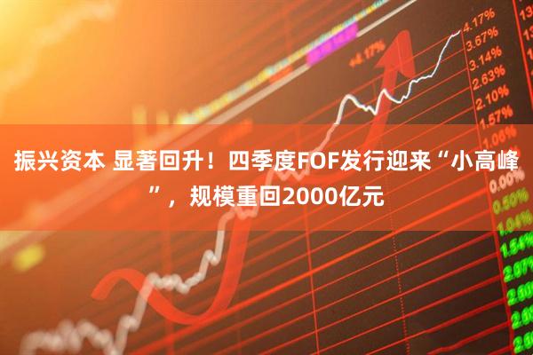 振兴资本 显著回升!四季度FOF发行迎来“小高峰”,规模重回2000亿元