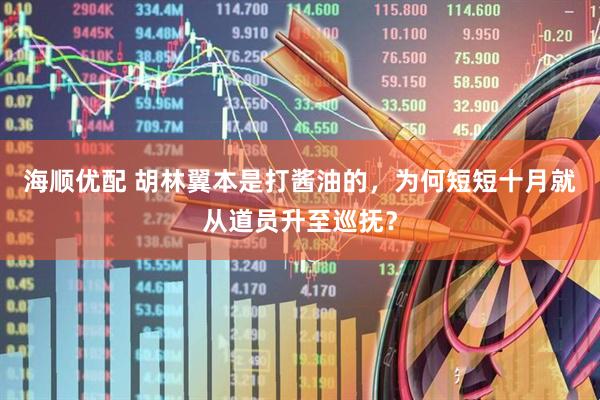 海顺优配 胡林翼本是打酱油的,为何短短十月就从道员升至巡抚?